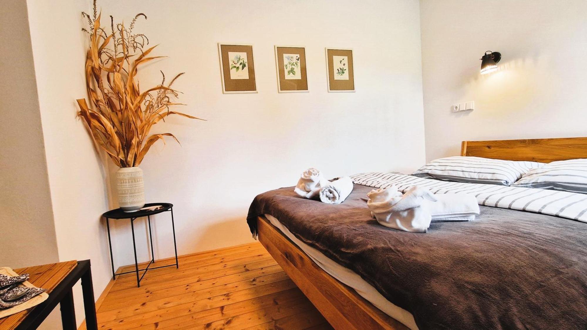 Apartmany Vcelin Brniste Bagian luar foto