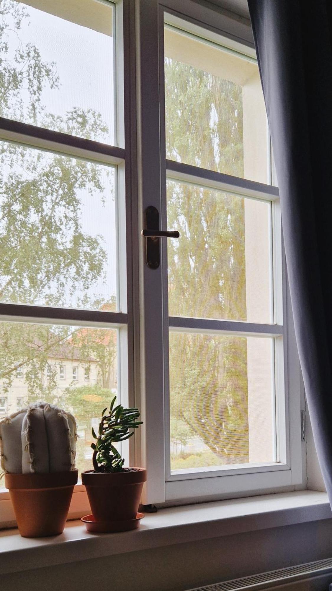 Apartmany Vcelin Brniste Bagian luar foto